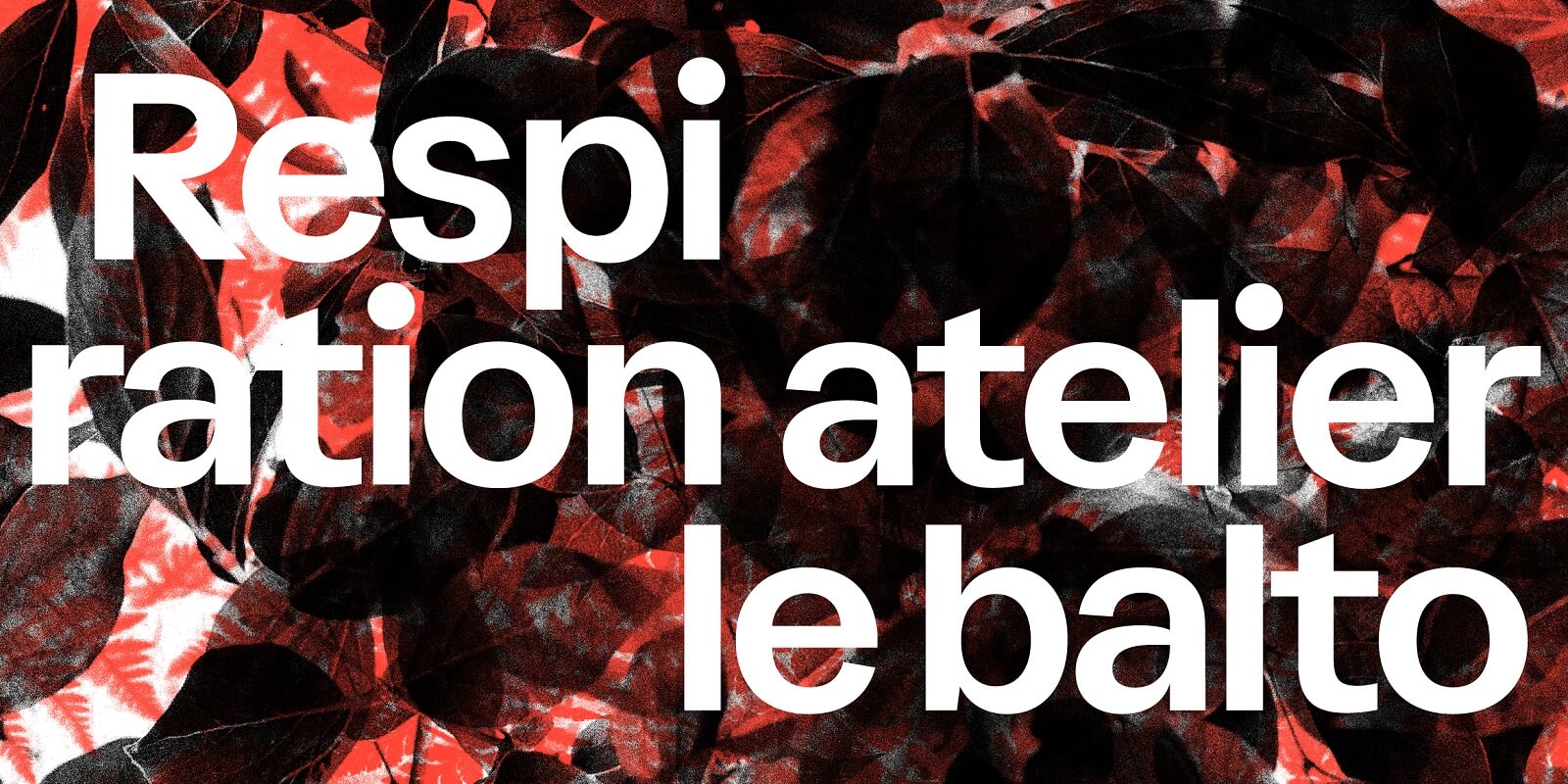 Respiration Atelier le balto